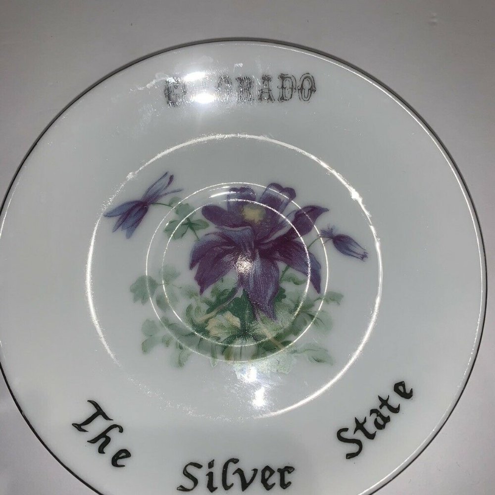 Colorado State VTG Collector Plate Saucer